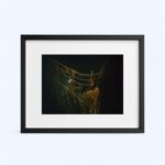 Photographie encadrée de l’épave du Titanic