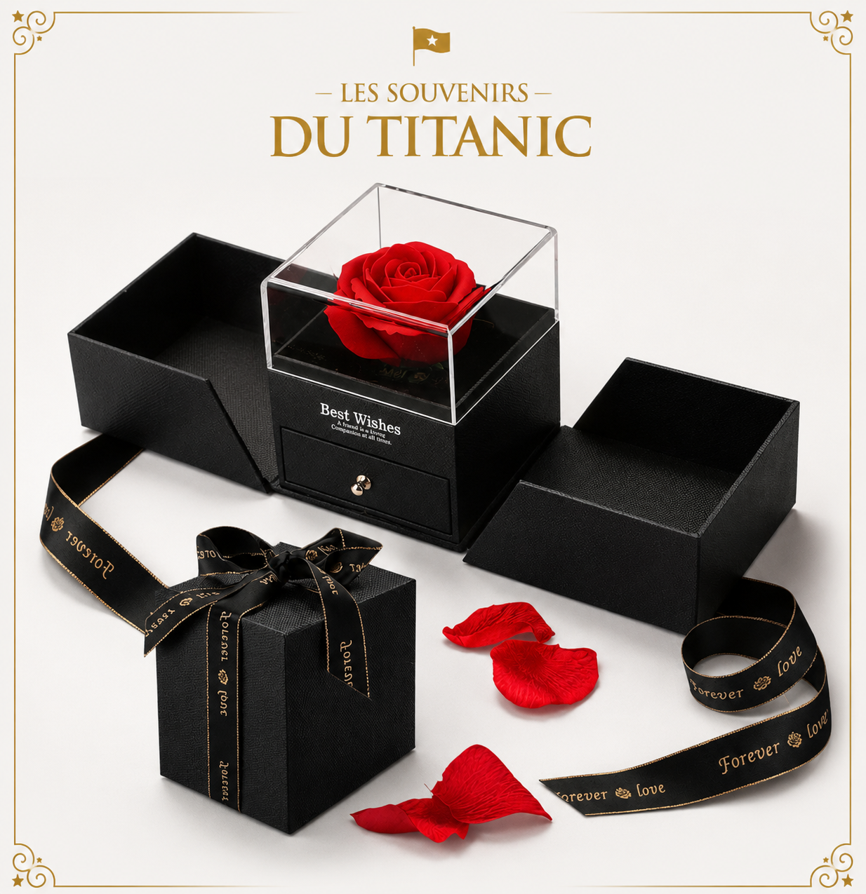 les souvenirs du titanic