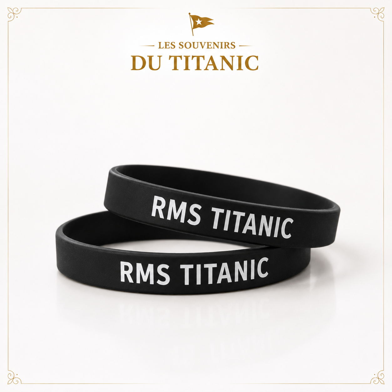 les souvenirs du titanic