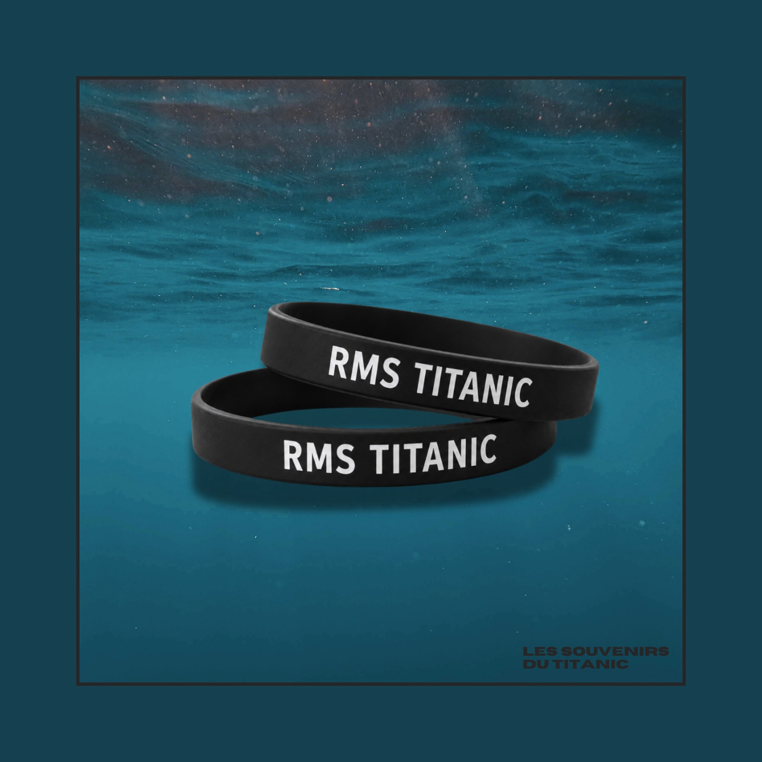 les souvenirs du titanic